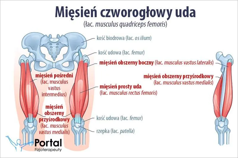 Jak bieganie wpływa na uda: co warto wiedzieć