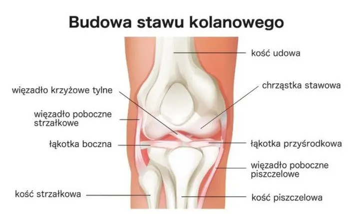 Profilaktyka kolan biegacza