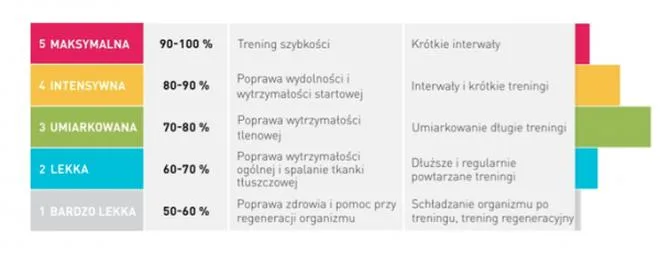 Strefy tętna w bieganiu