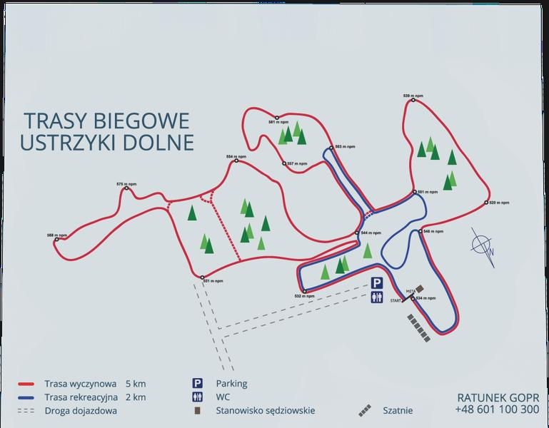Trasy biegowe w mieście